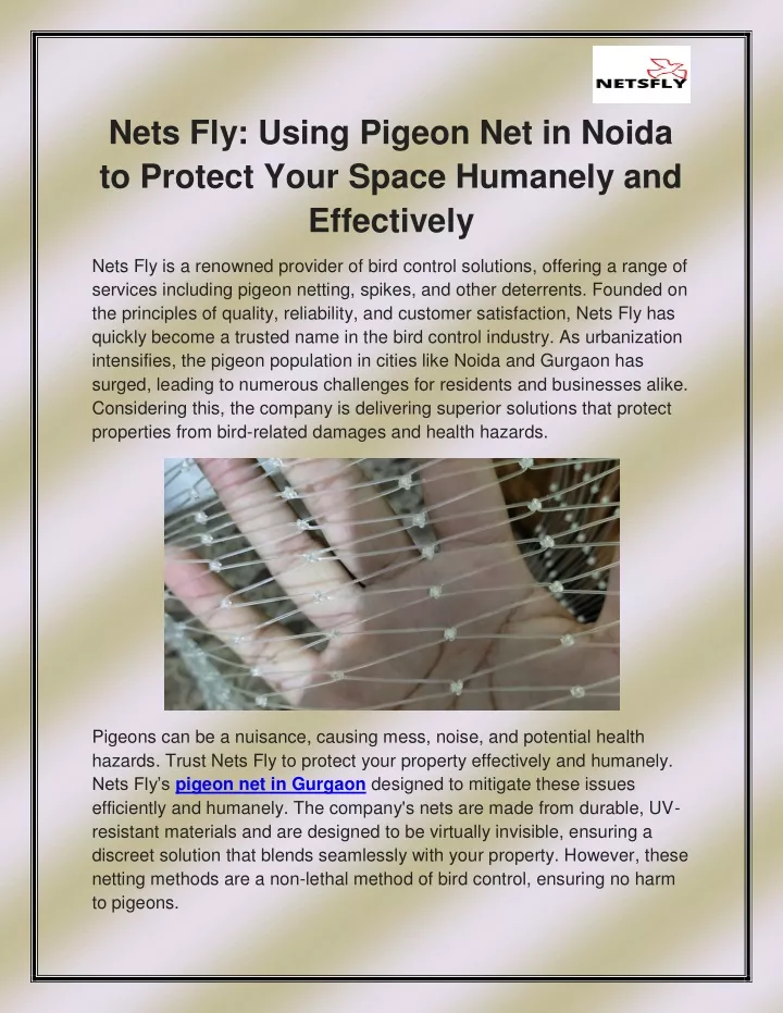 nets fly using pigeon net in noida to protect