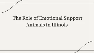 unleashing-comfort-the-role-of-emotional-support-animals-in-illinois-20240604093337q0wm