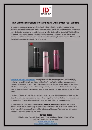 Buy Wholesale Insulated Water Bottles Online with Your Labeling