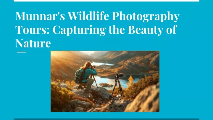 munnar s wildlife photography tours capturing the beauty of nature