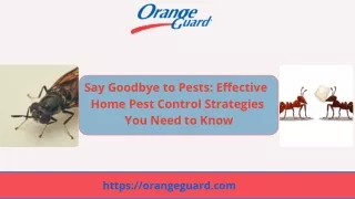 Say Goodbye to Pests Effective Home Pest Control Strategies You Need to Know