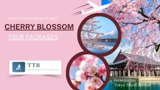 Best Japan Cherry Bloosm Tour Package