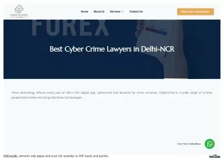 Best Cyber Crime Lawyers in Delhi-NCR