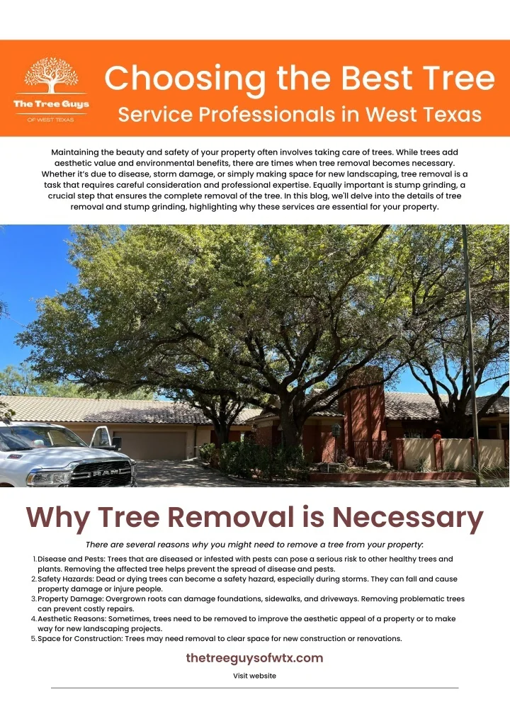 PPT - Choosing the Best Tree Service Professionals in West Texas A ...