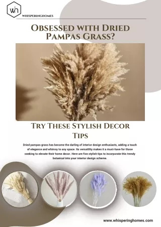 Obsessed with Dried Pampas Grass Try These Stylish Decor Tips