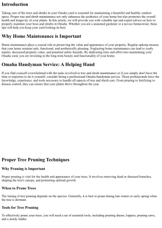 Tips for Proper Tree and Shrub Maintenance in Your Omaha Yard