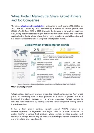 Wheat Protein Market Size, Share, Growth Drivers, and Top Companies