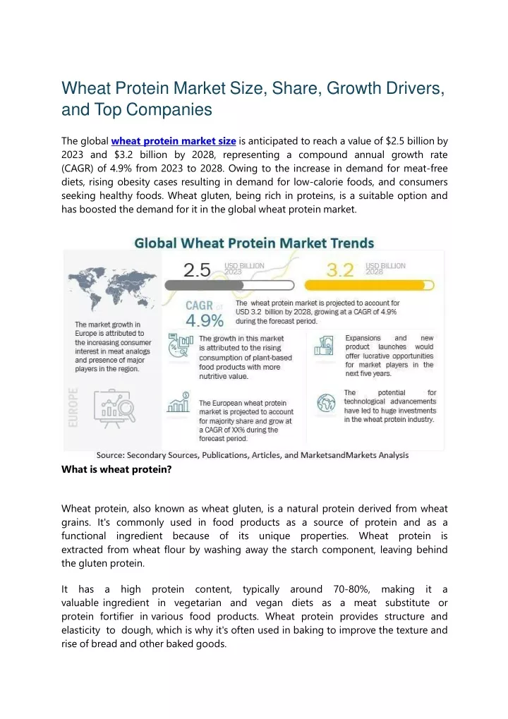 wheat protein market size share growth drivers