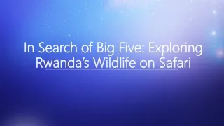 In Search of Big Five Exploring Rwanda’s Wildlife on Safari