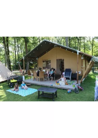 Camping in Utrecht