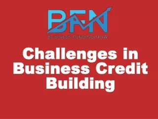 Challenges in Business Credit Building
