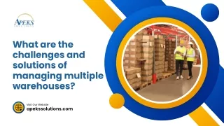 Managing Multiple Warehouses: Challenges and Solutions