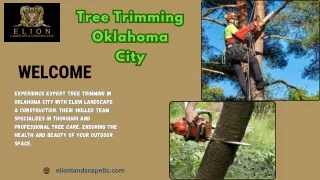 Precision Tree Trimming in Norman, OK | Elion Landscape & Construction