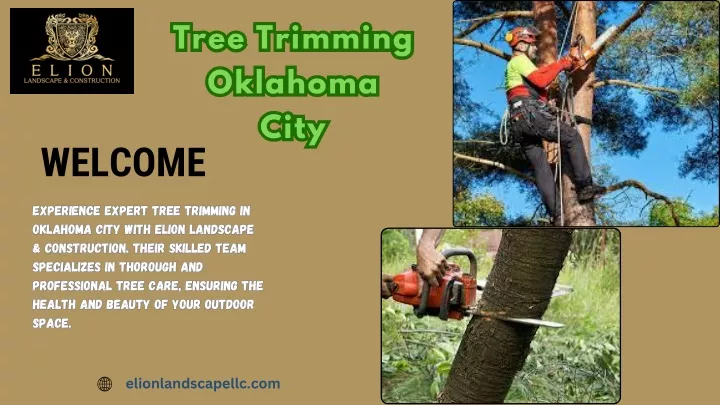 tree trimming oklahoma city city