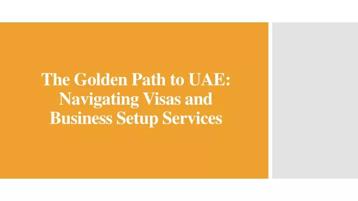 the golden path to uae navigating visas and business setup services