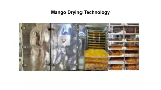 Mango Drying Technology