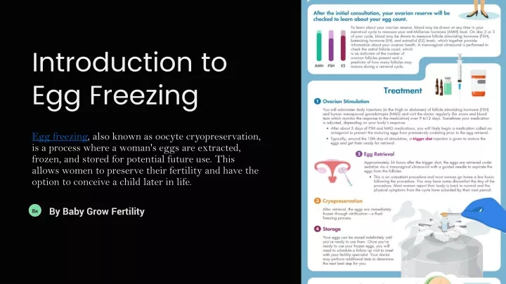 introduction to egg freezing