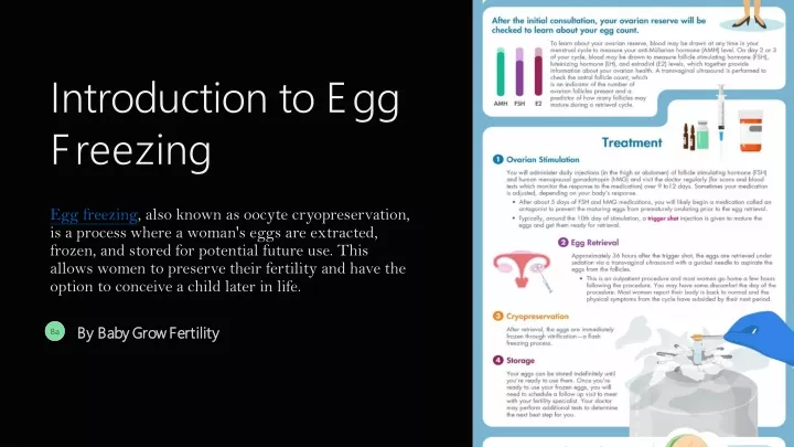 introduction to egg freezing