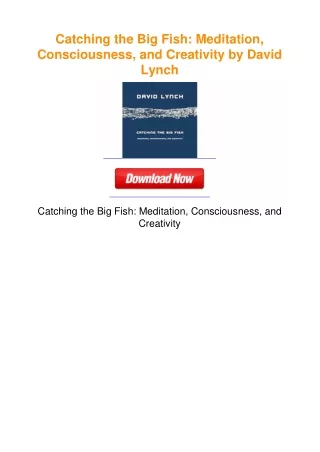 Catching the Big Fish: Meditation, Consciousness, and Creativity by David