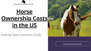 Horse Ownership Costs in the US a State-by-State Estimation Guide