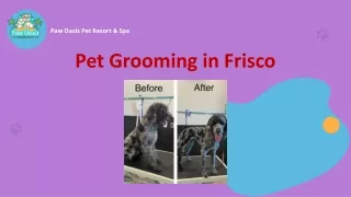 Pet Grooming in Frisco