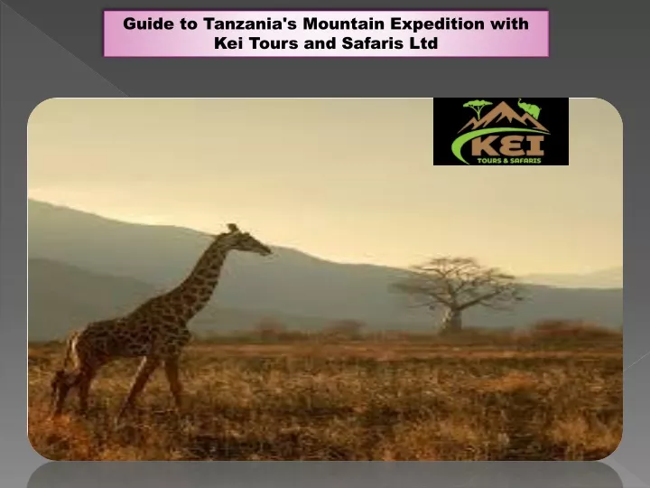 guide to tanzania s mountain expedition with