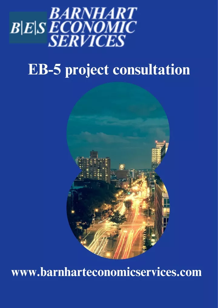 eb 5 project consultation