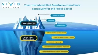 Trusted Salesforce Maintenance Services by Vivid GovTech