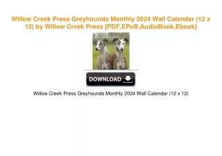 Willow Creek Press Greyhounds Monthly 2024 Wall Calendar (12 x 12) by Willow Creek Press