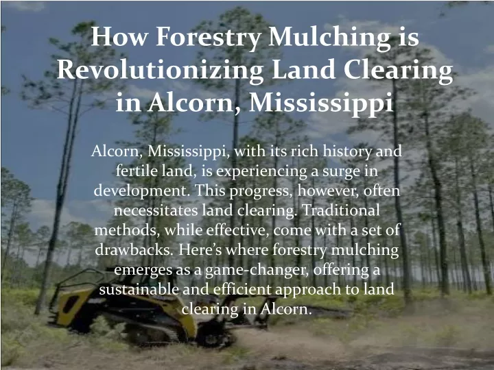 how forestry mulching is revolutionizing land clearing in alcorn mississippi