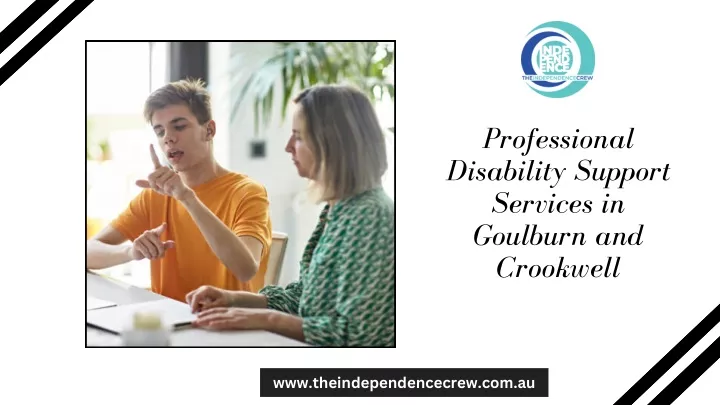 professional disability support services