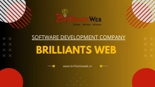 software development company