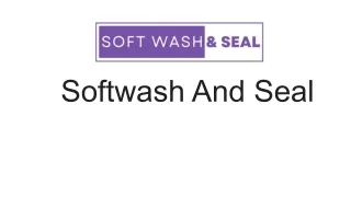 Elevate Your Property's Cleanliness: Discover Soft Wash and Seal's Premium Servi