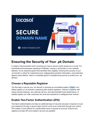 Ensuring the Security of Your .pk Domain