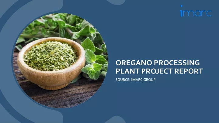 oregano processing plant project report