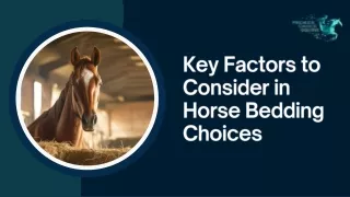 Key Factors to Consider in Horse Bedding Choices