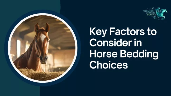 key factors to consider in horse bedding choices