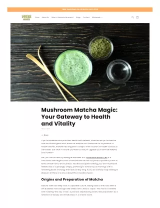 Mushroom Matcha Everything you Need To Know