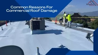 Common Reasons For Commercial Roof Damage