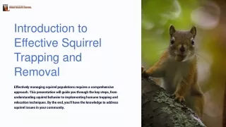 Top-Rated Squirrel Removal Services in Austell, Georgia