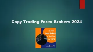 Copy Trading Forex Brokers 2024