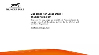 Dog Beds For Large Dogs Thundertails.com