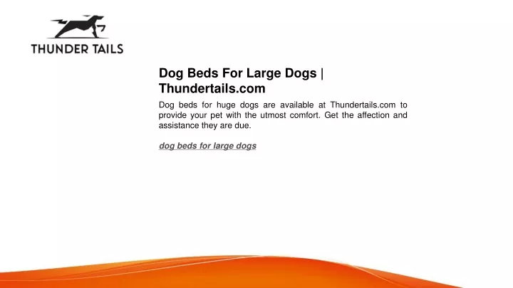 dog beds for large dogs thundertails com