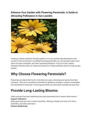 Enhance Your Garden with Flowering Perennials_ A Guide to Attracting Pollinators in San Leandro