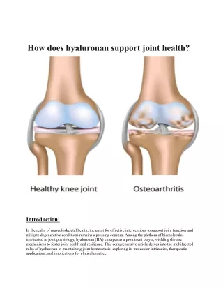 How does hyaluronan support joint health.pdf