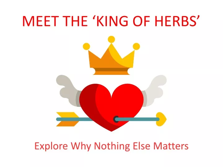 meet the king of herbs