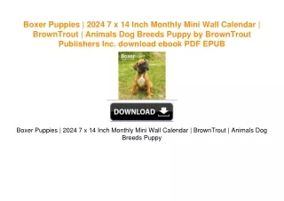Boxer Puppies | 2024 7 x 14 Inch Monthly Mini Wall Calendar | BrownTrout | Animals Dog