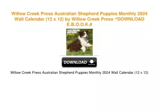 Willow Creek Press Australian Shepherd Puppies Monthly 2024 Wall Calendar (12 x 12) by