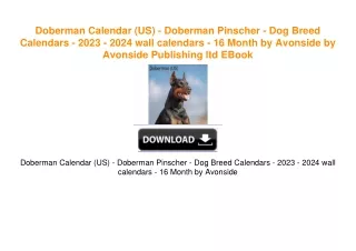 Doberman Calendar (US) - Doberman Pinscher - Dog Breed Calendars - 2023 - 2024 wall