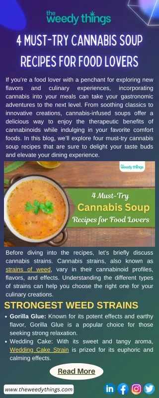 4 Must-Try Cannabis Soup Recipes for Food Lovers